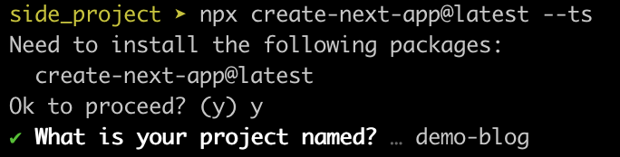 set up in next.js app